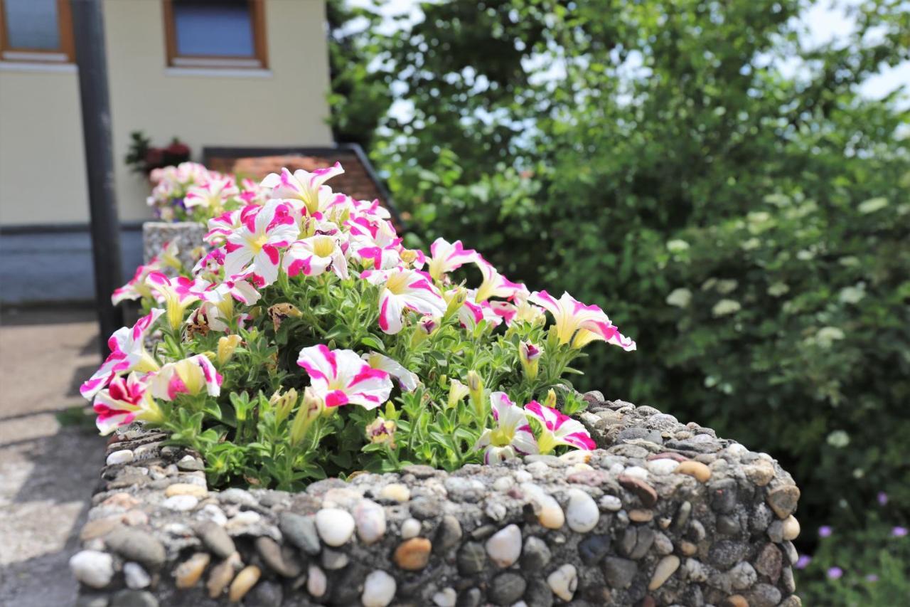 Gaestehaus Willaringen Rickenbach  Εξωτερικό φωτογραφία